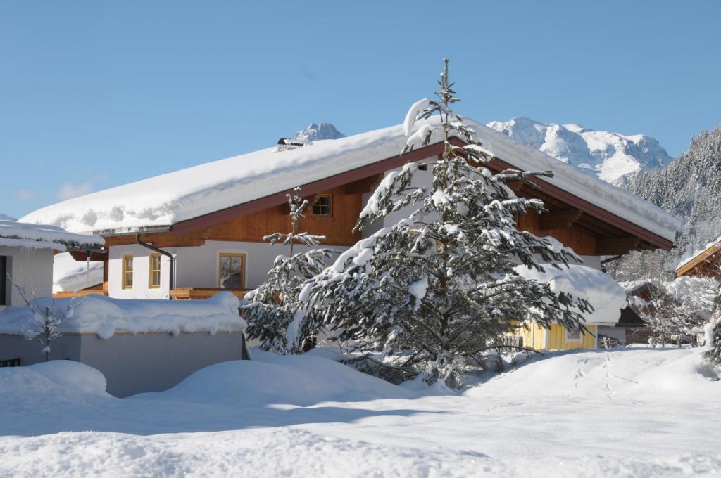 Haus Alpenflora Apartment Werfenweng Exterior photo